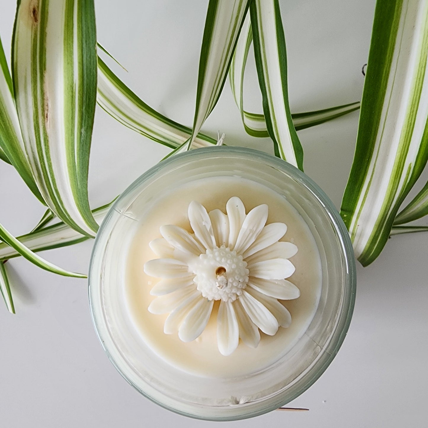 Daisy Candle with Lid